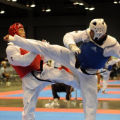 Flickr The U.S. Army Taekwondo champion