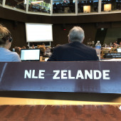 NZ Council seat